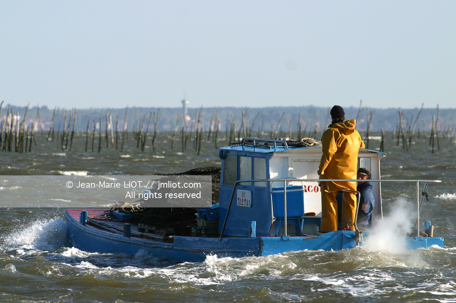 CHALANDS OSTREICOLES