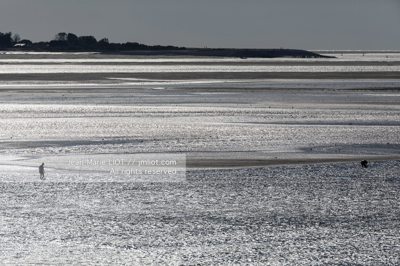 BAIE DE SOMME - 2020