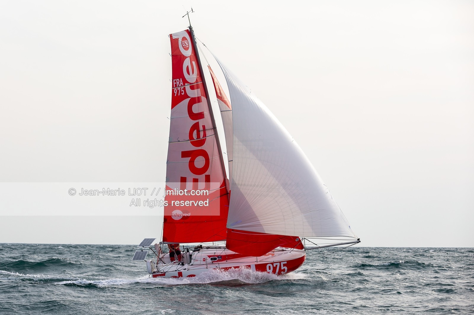 BASILE BOURGNON 2020 - MINI 650 EDENRED