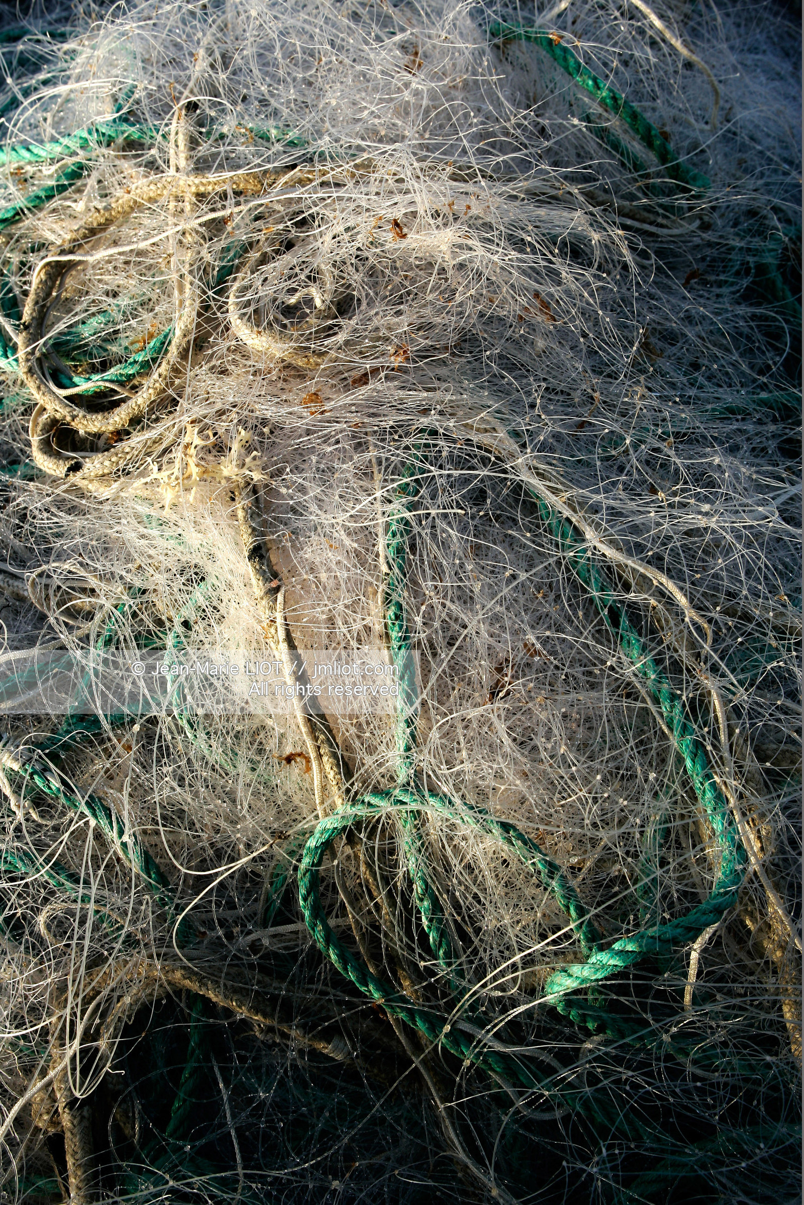 PHOTO © JEAN-MARIE LIOT.MENTION OBLIGATOIRE POUR TOUTE UTILISATION.