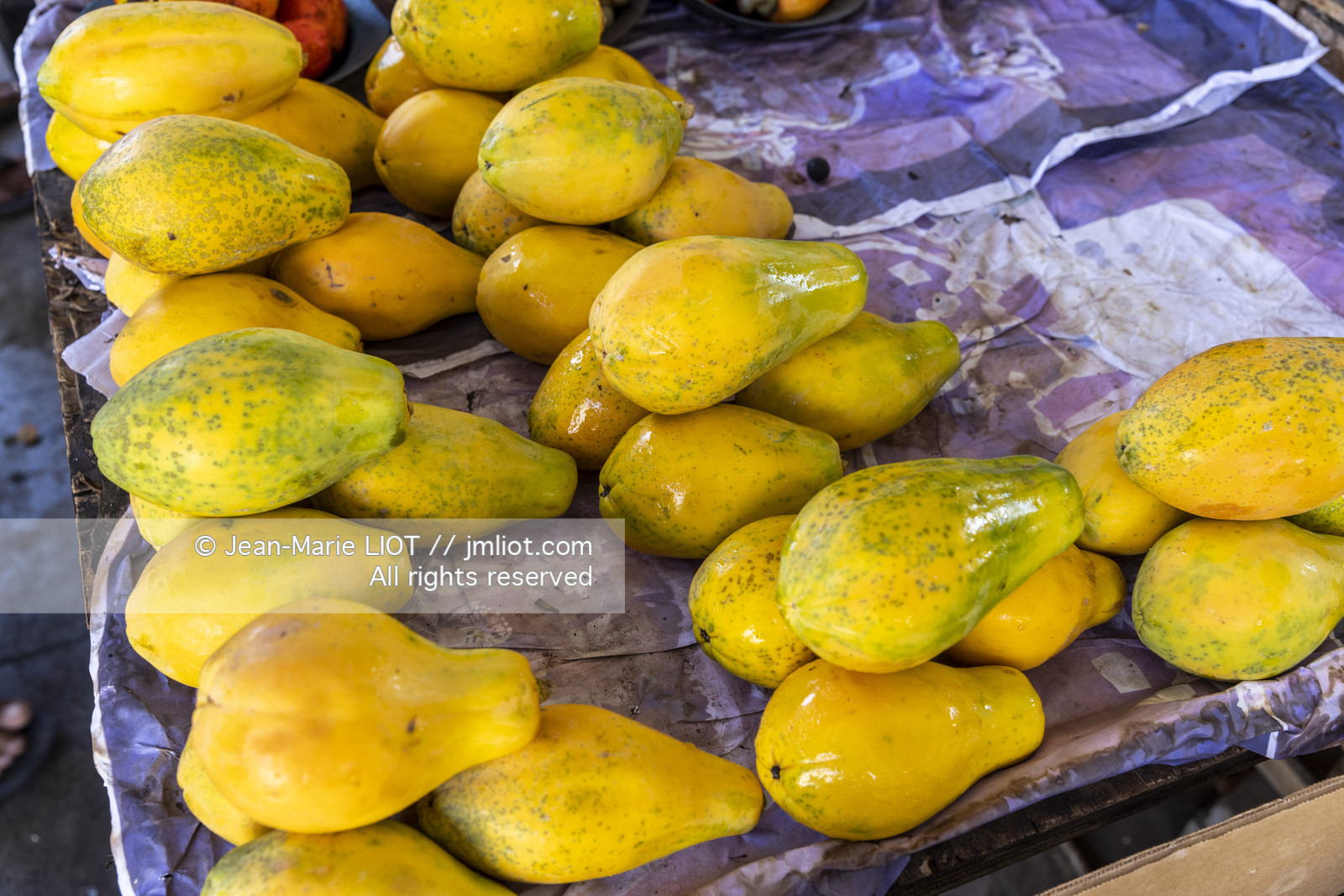 TRANSAT JACQUES VABRE 2013