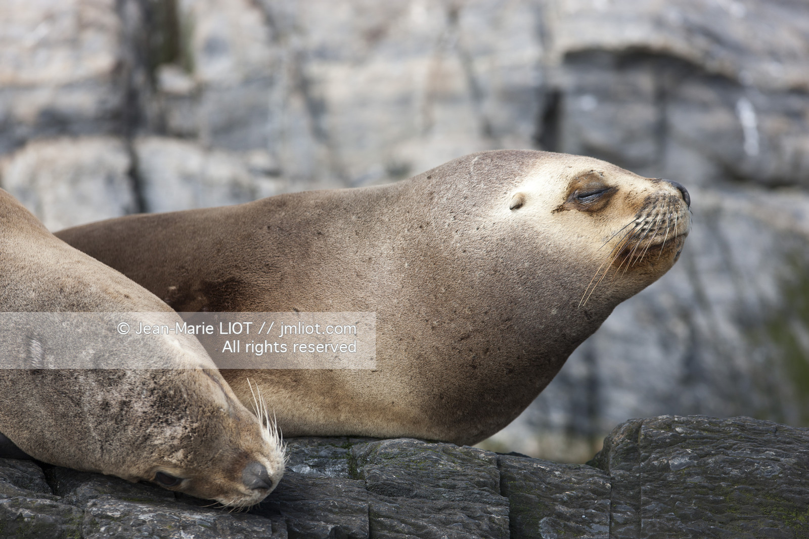Ushuaia, Terre de Feu est la ville la plus australe du globe.Située à la pointe de l'Argentine cette province est la porte de l'antartique.photo © Jean-Marie Liot.