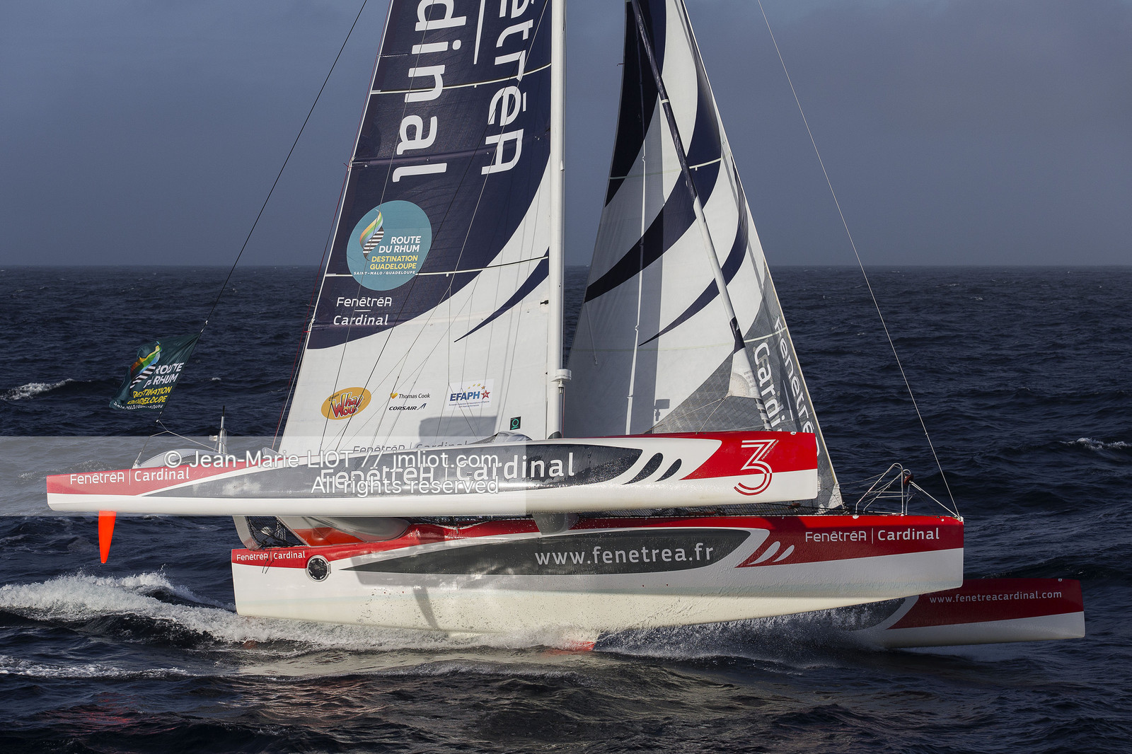 ROUTE DU RHUM 2014 - MULTI 50 FENETREA CARDINAL - ERWAN LE ROUX