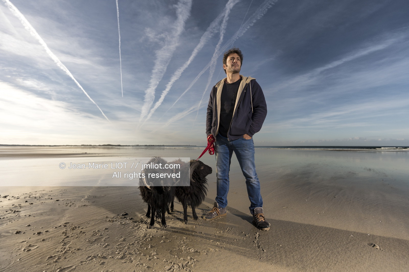 ERIC PERON - WILD LIFE