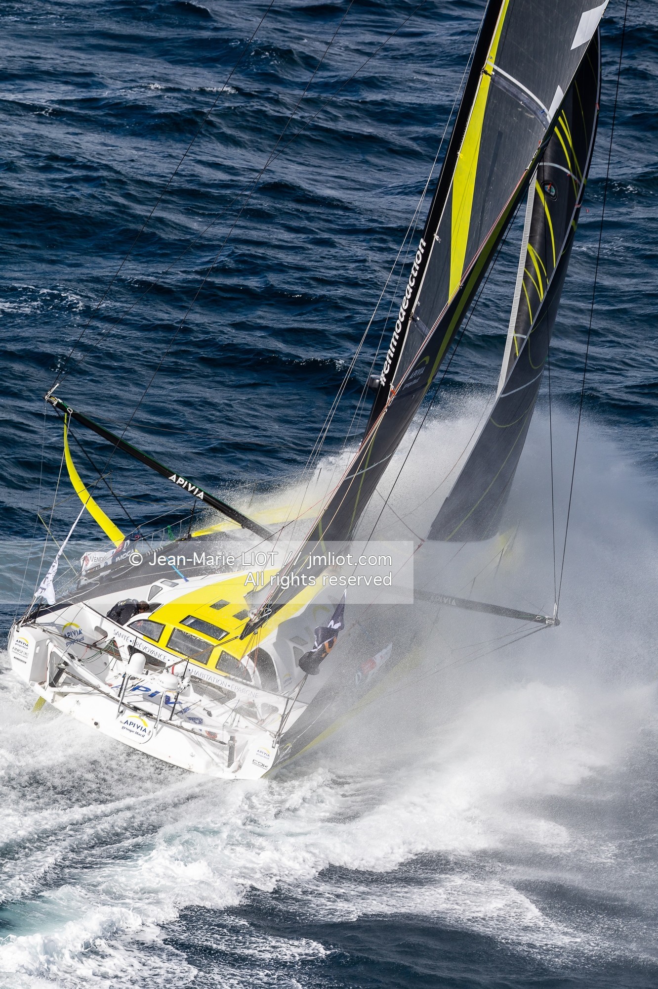 CHARLIE DALIN 2020 - APIVIA