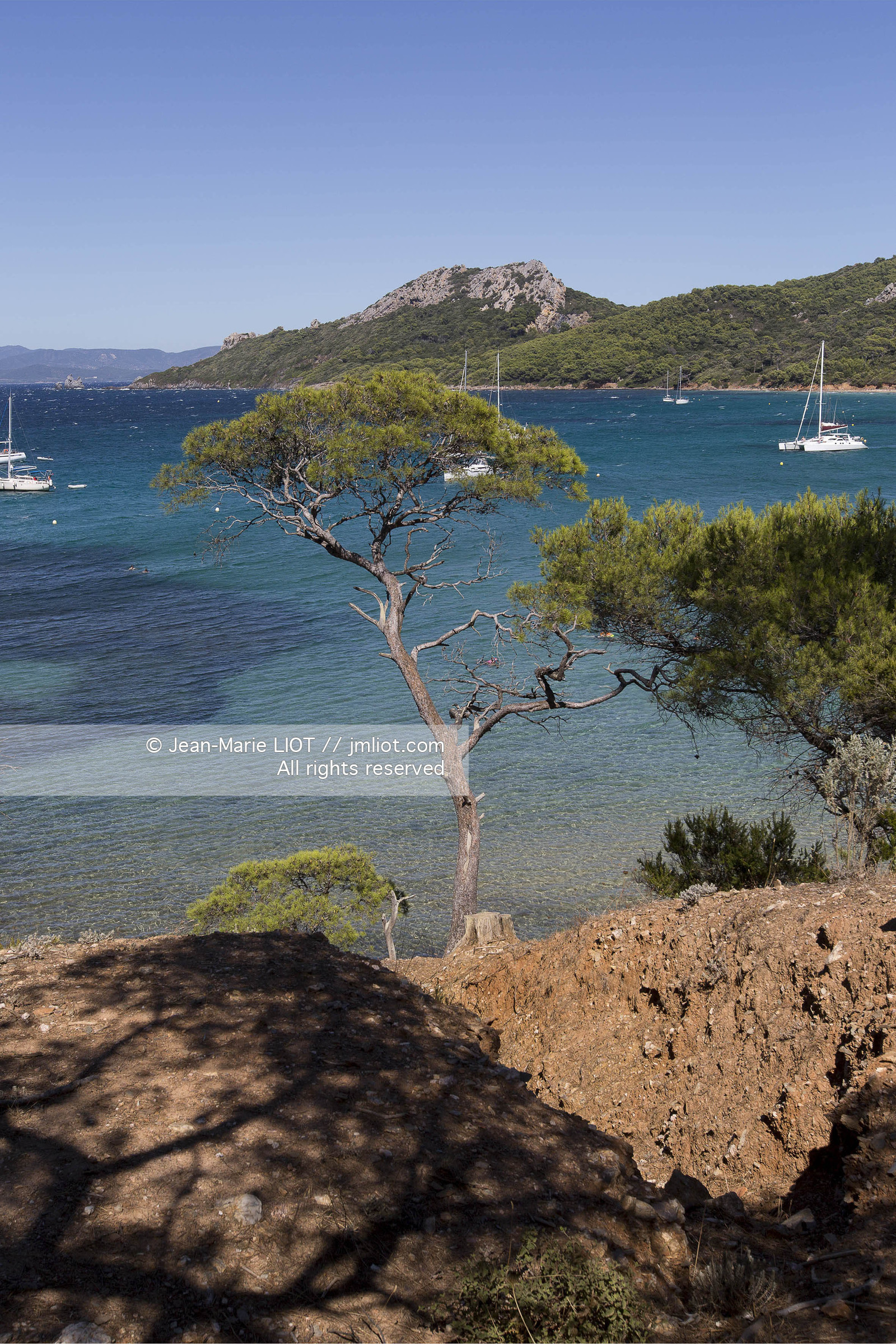Aout 2015 mouillage à Porquerolles, découverte de l'île..Photos © JEAN-MARIE LIOT - www.jmliot.com