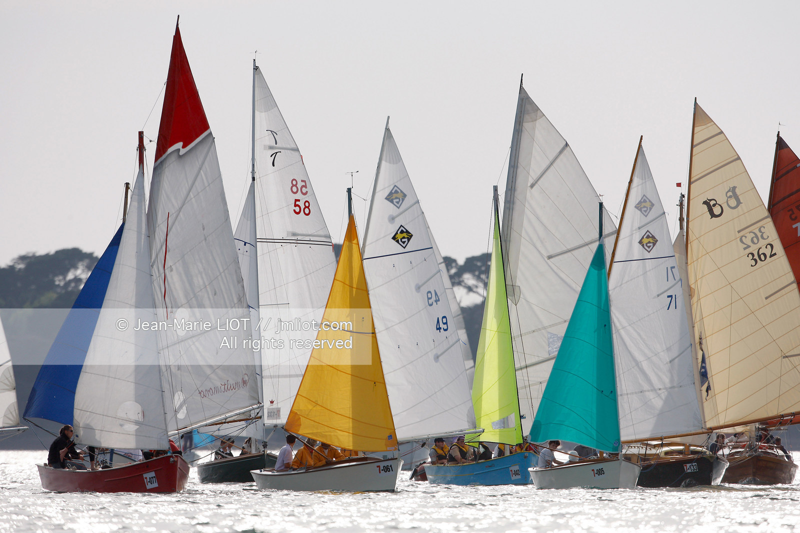 SEMAINE DU GOLFE 2009