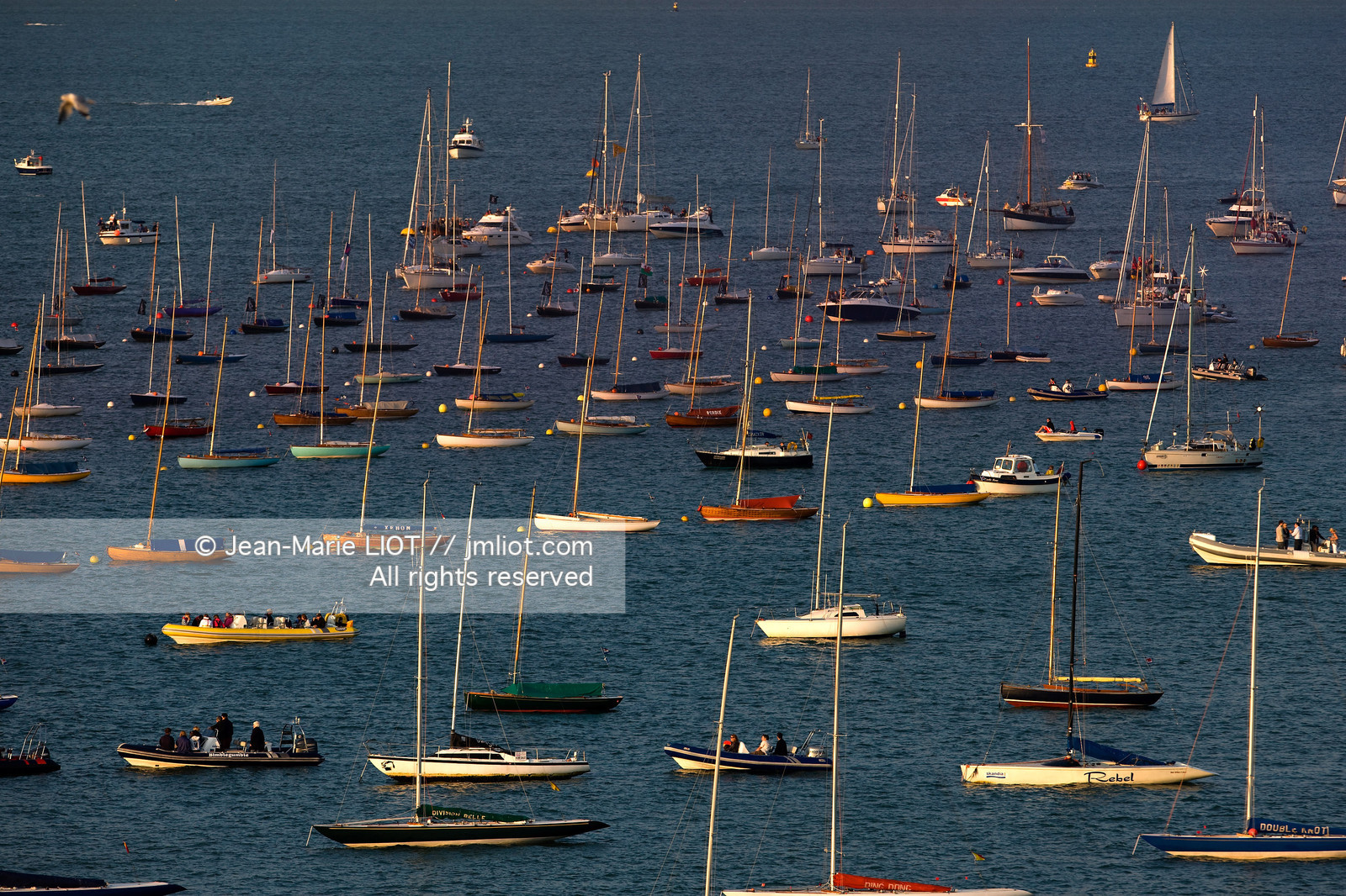 COWES WEEK 2009