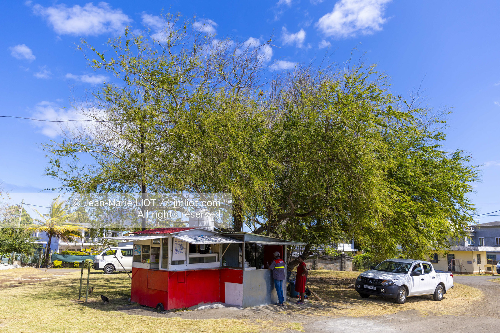 GLOBE40 - ILE MAURICE