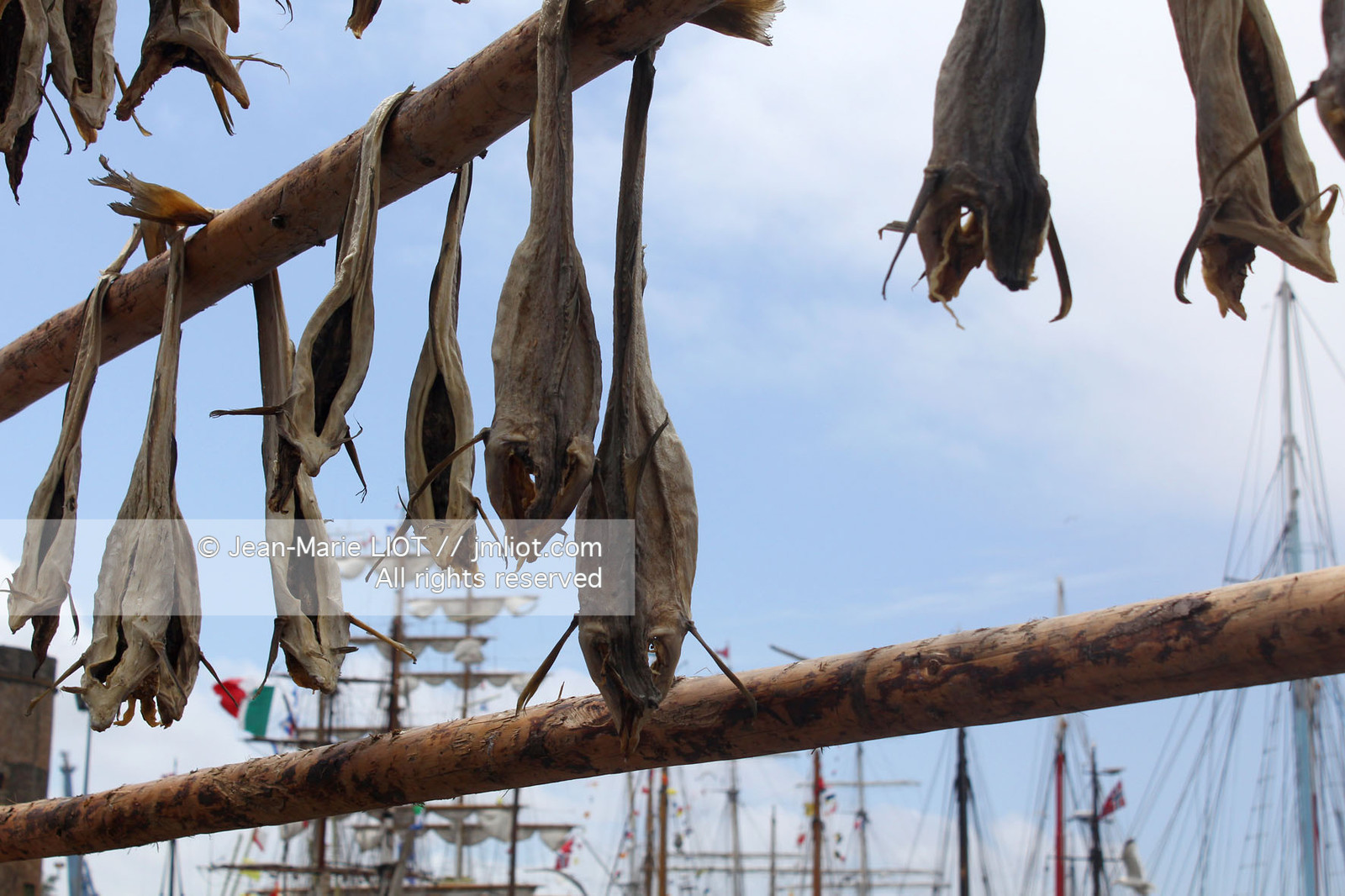 LES TONNERRES DE BREST 2012