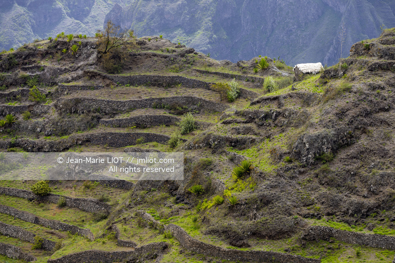 CAP VERT - SANTO ANTAO