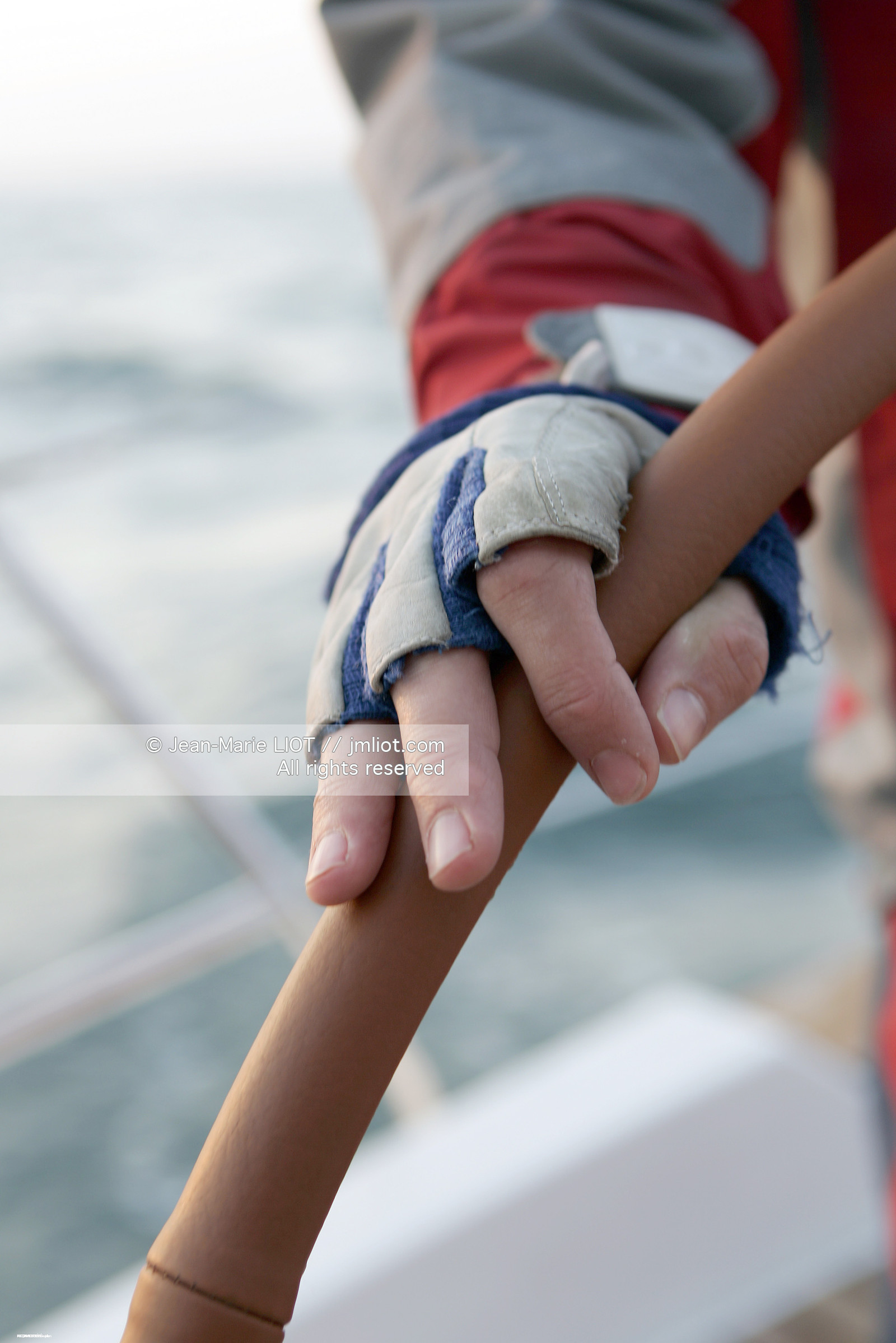 ACCASTILLAGE-ELECTRONIQUE-MECANIQUE-PLAISANCE