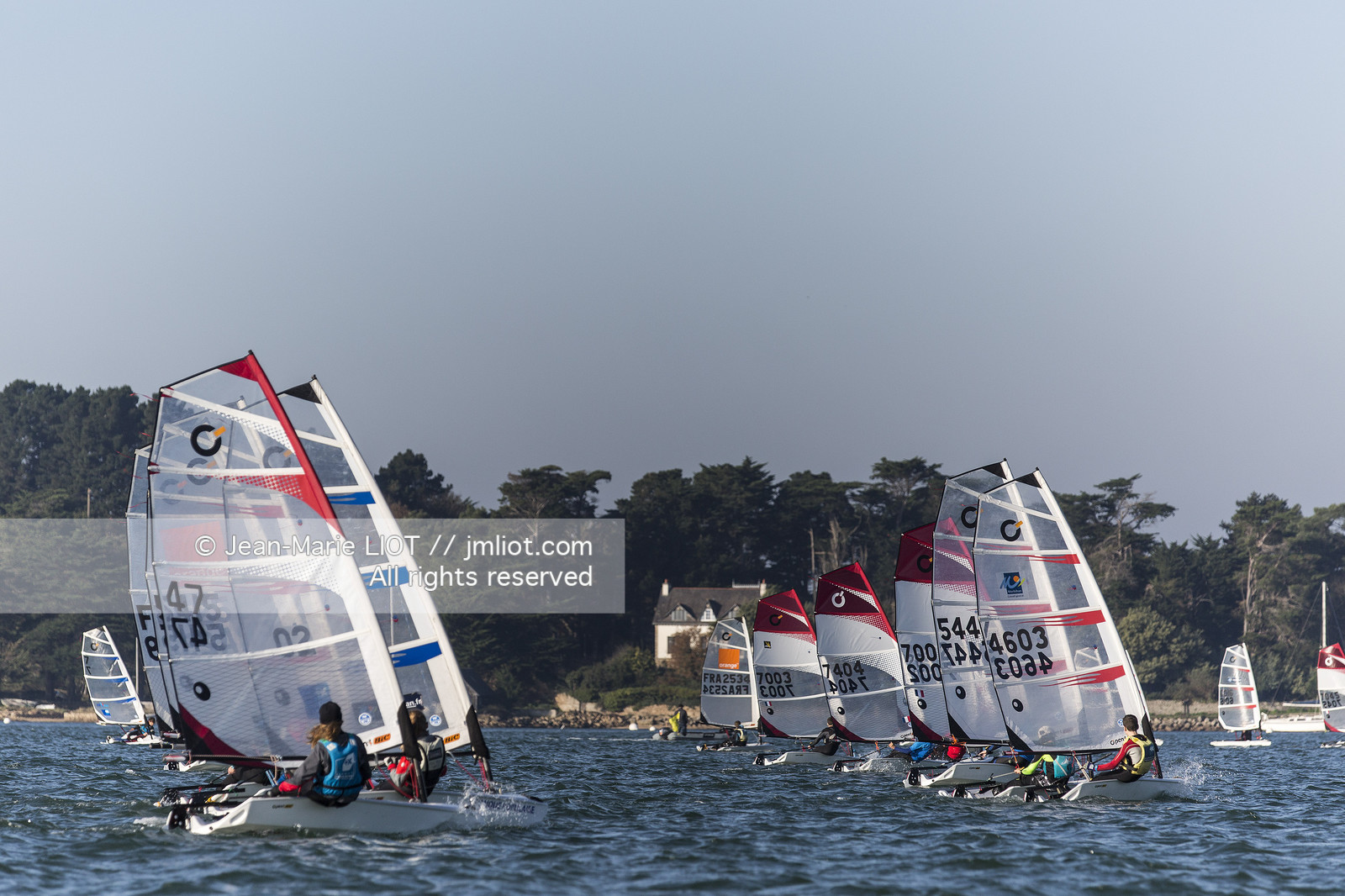 REGATE DANS LE GOLFE DU MORBIHAN