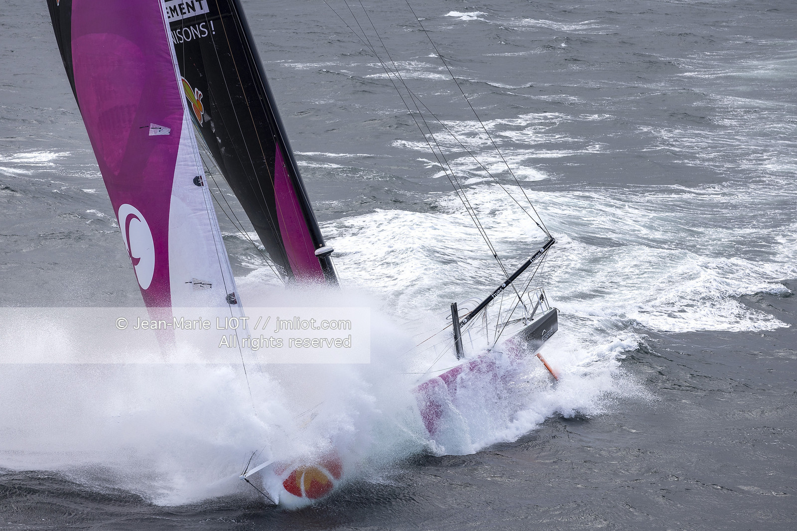 LOUIS DUC 2022 - ROUTE DU RHUM