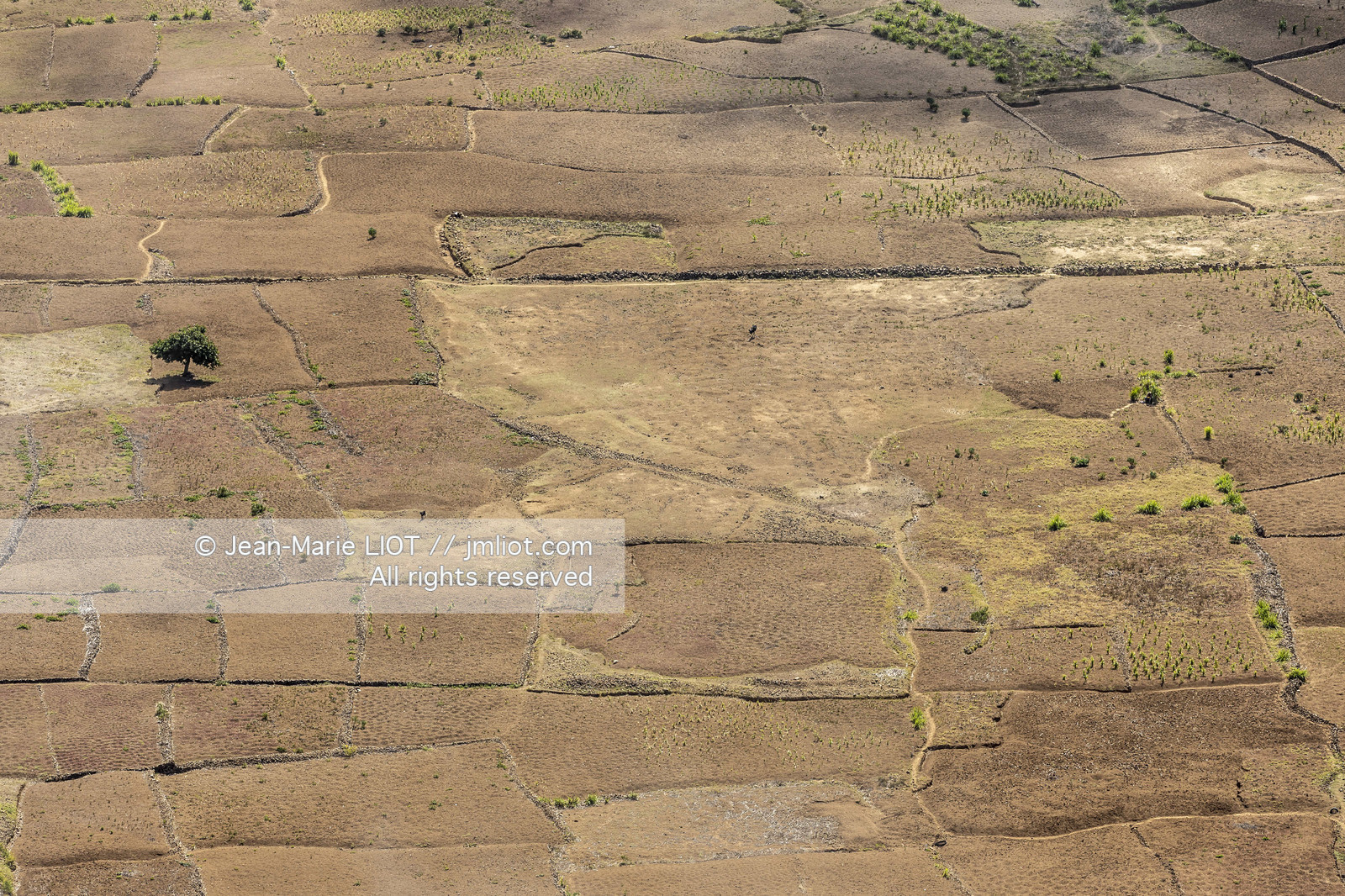 CAP VERT - SANTO ANTAO